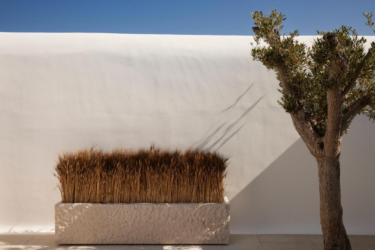Kalesma Mykonos Hotel Ornos  Exterior photo